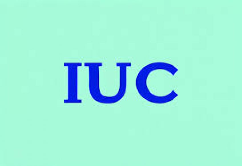 Pagamento do IUC num &uacute;nico m&ecirc;s e com possibilidade de presta&ccedil;&otilde;es